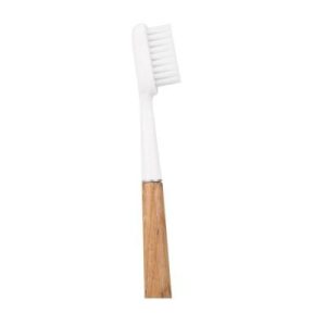 Brosse à dent à tête rechargeable - Medium - Manche en chêne