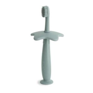 Brosse à dents Star - Cambridge Blue
